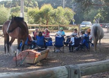 Equine Therapy horse gathering